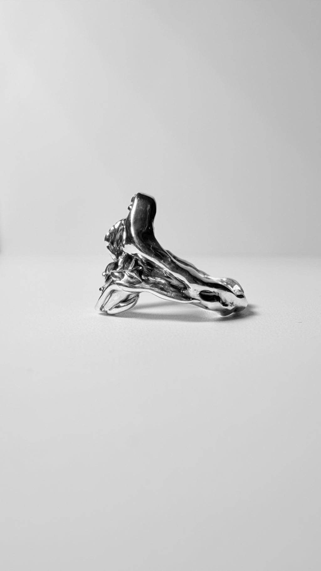 Void ring